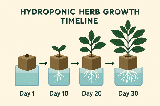 From Seed to Harvest: Your First 30 Days with Herbi