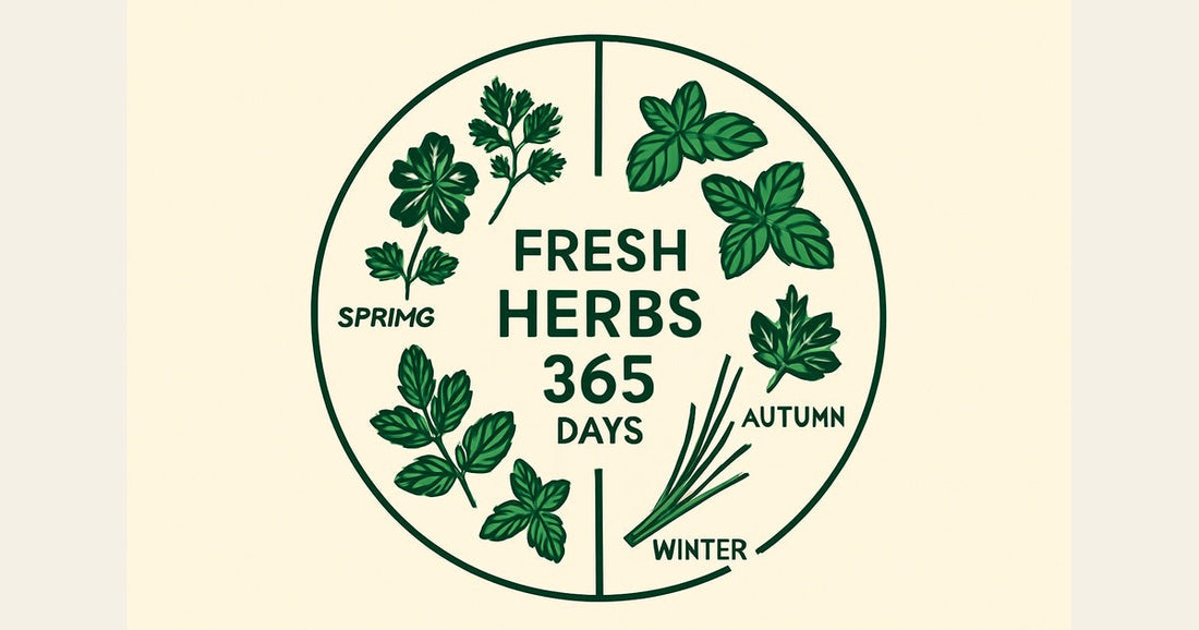 Your Herbi Herb Garden: Fresh Flavors All Year Round
