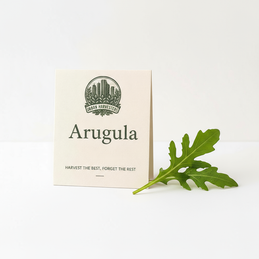 Arugula Seeds