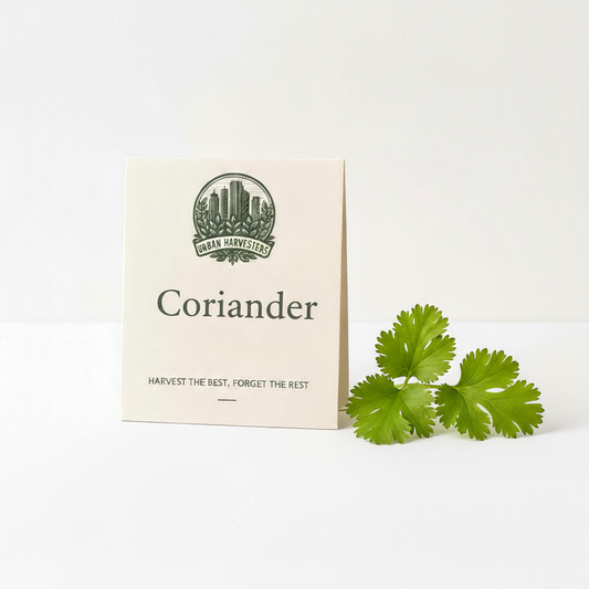 Coriander Seeds