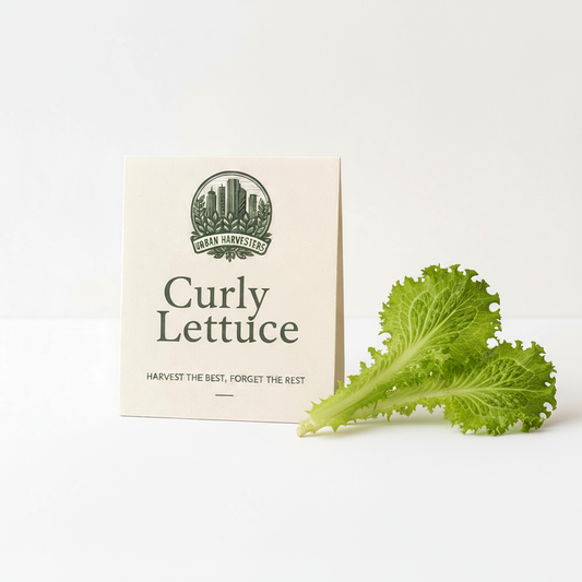 Curly Lettuce Seeds